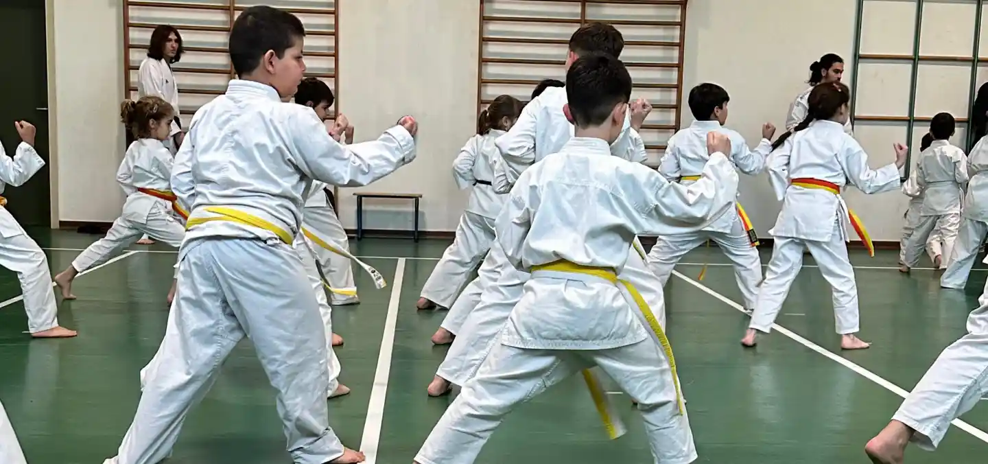 arti marziali sicure per bambini nella scuola di Karate Ren.Bu.Kan Forlì