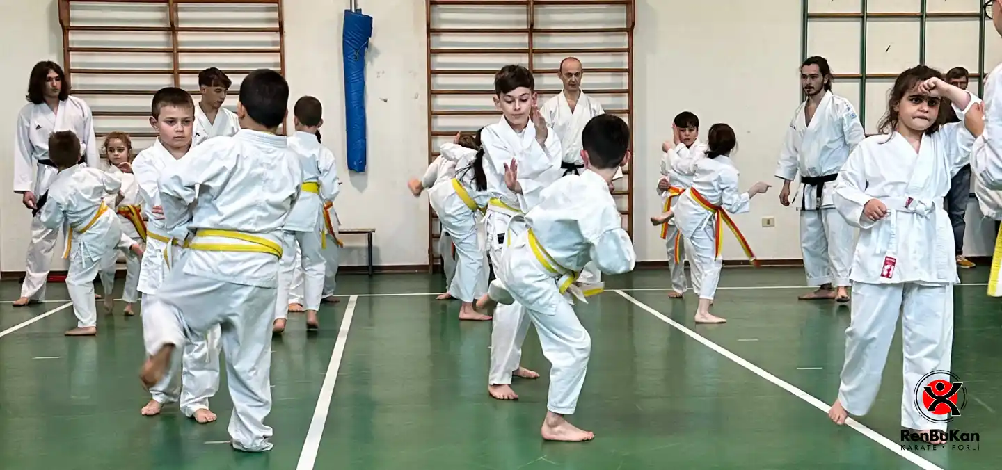 Iniziare il karate - bambini presso ASD RenBuKan Forlì