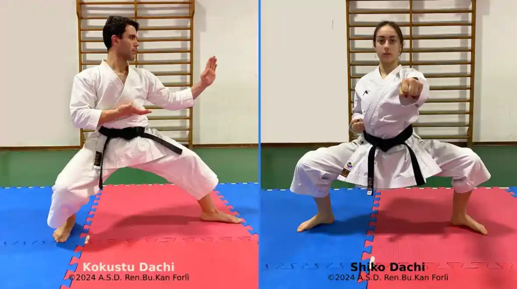 karate posizioni fondamentali - due allievi della scuola di karate Ren.Bu.Kan di Forlì mostrano due posizioni fondamentali.